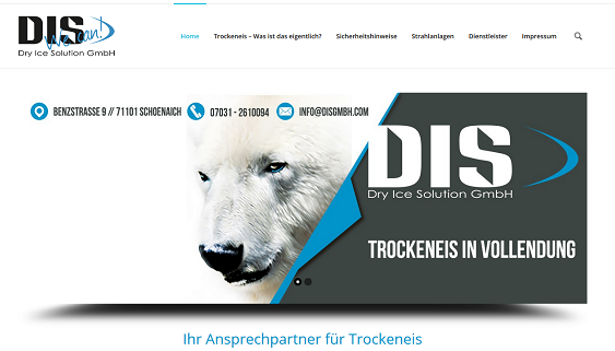 Screenshot der Website der DIS GmbH